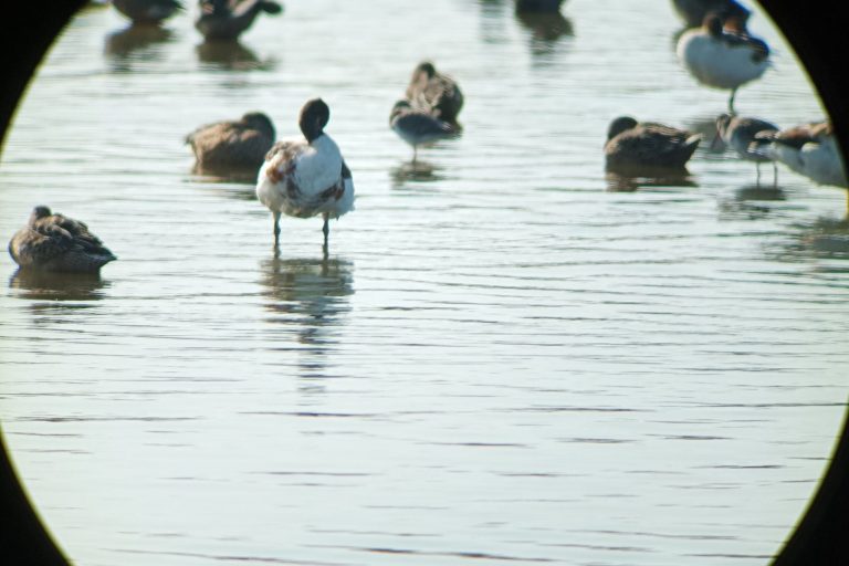 Gut Oehe - eine Zeitreise